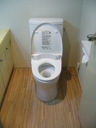 外国製便器よりTOTO・ピュアレストQR壁排水に取替 外国製便器よりTOTO・ピュアレストQR壁排水に取替